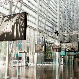 Expo photo de Nicolas Ruel : ça bouge dans le Quartier international!