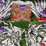 Poissons frais du bazar égyptien